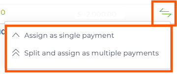 Xero Ledger detail view
